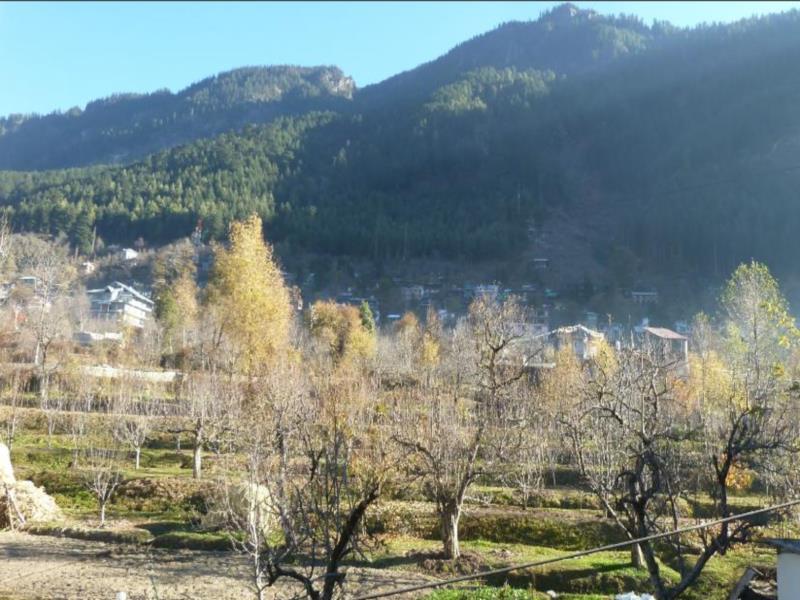 Hotel Mohan Palace Manali  Exterior photo